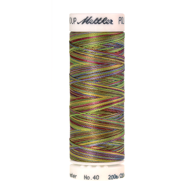 Amann Mettler Poly Sheen Multi, 200m Spule in Spring Fling Die Multifarben harmonieren perfekt mit dem unifarbenen Poly Sheen